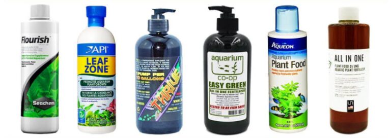 Phân nước thủy sinh có hại cho cá không