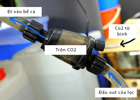 Cách để sủi CO2 thủy sinh hiệu quả
