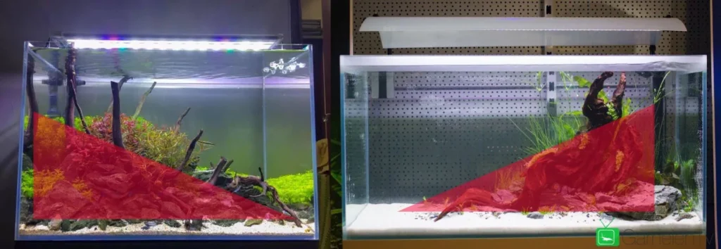 Cách trang trí bể thủy sinh