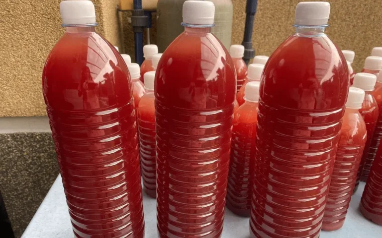 Cách tự tạo vi khuẩn psb tại nhà