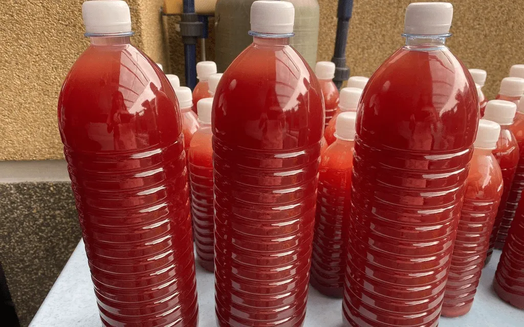 Cách tự tạo vi khuẩn psb tại nhà