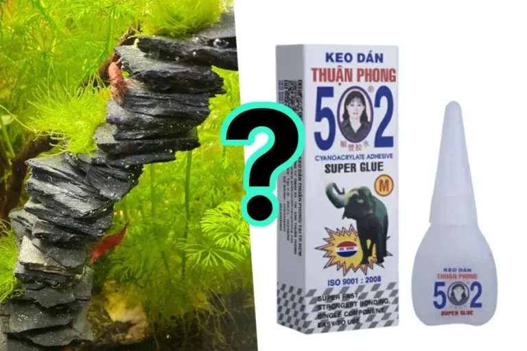 Keo 502 gắn cây thủy sinh