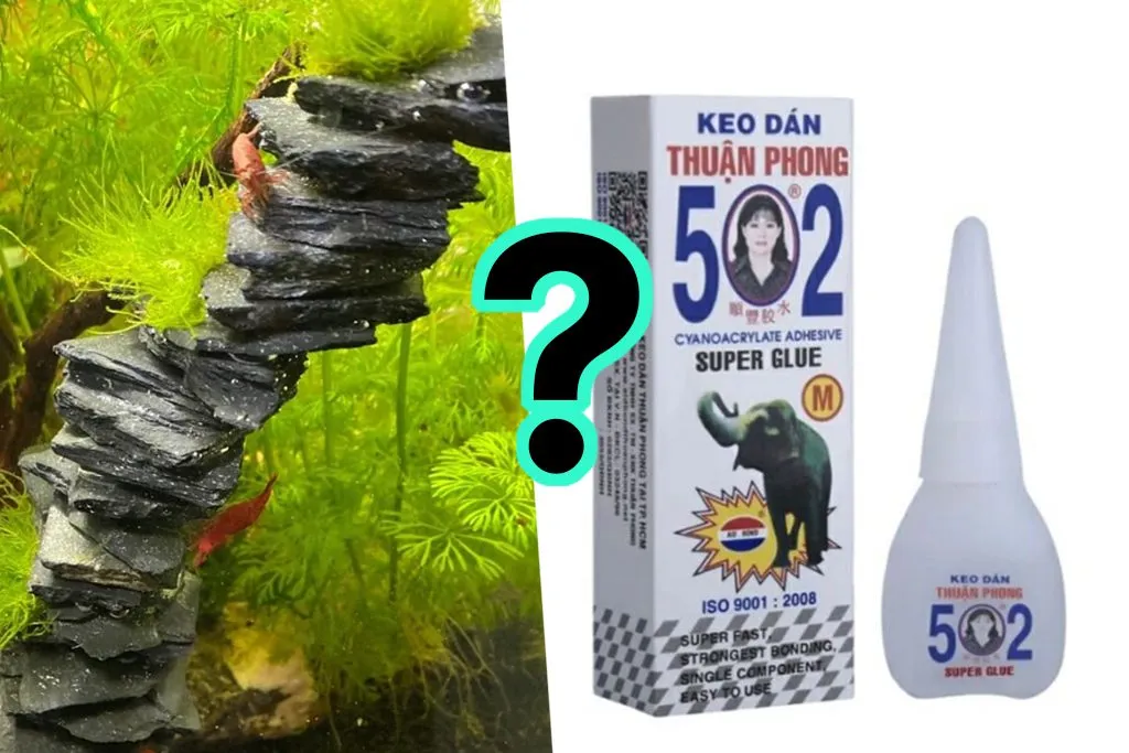 Keo 502 gắn cây thủy sinh