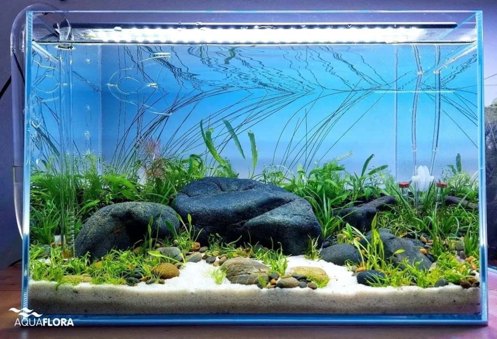 setup bể thủy sinh phong cách đá cuội
