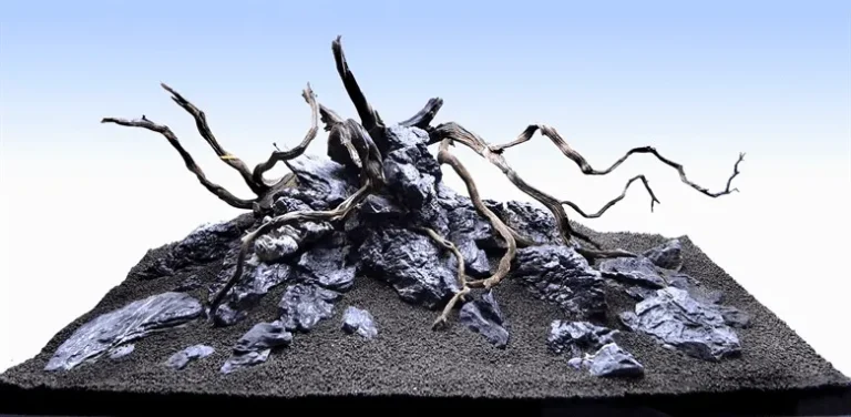 Cách trải nền thủy sinh