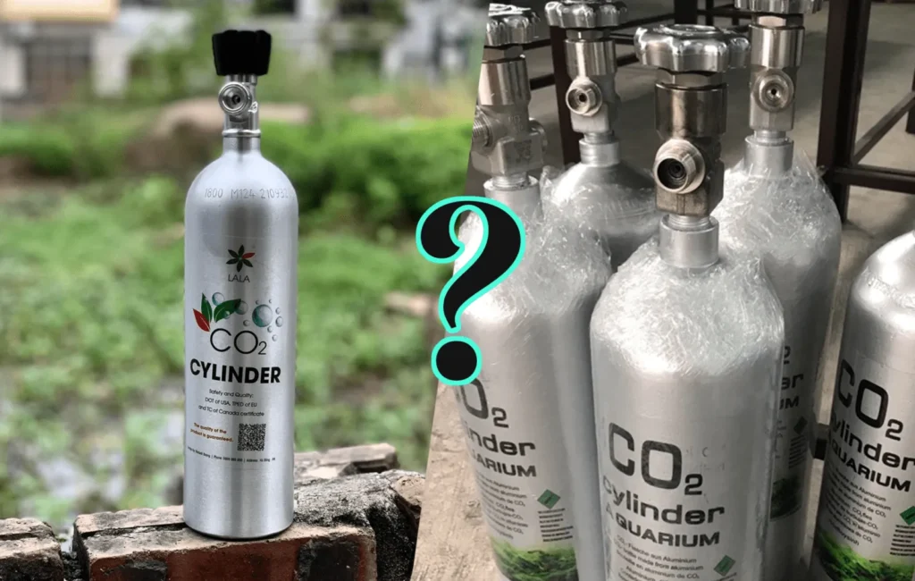 Bình co2 nhôm và sắt: đâu là loại bình thủy sinh tốt hơn?