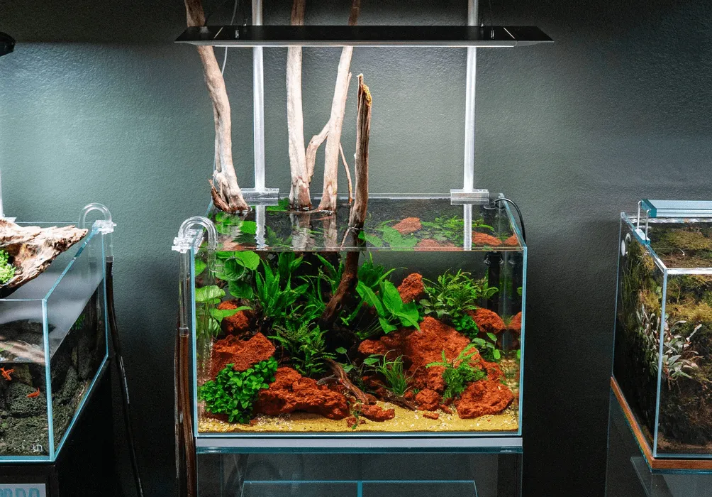 đá nham thạch thủy sinh